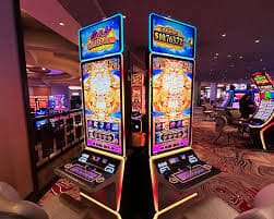 Live casino dan slot online dengan dealer profesional di aneka88
